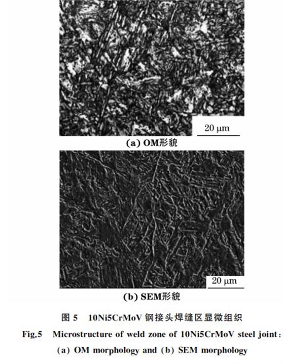圖５ １０Ni５CrMoV鋼接頭焊縫區顯微組織