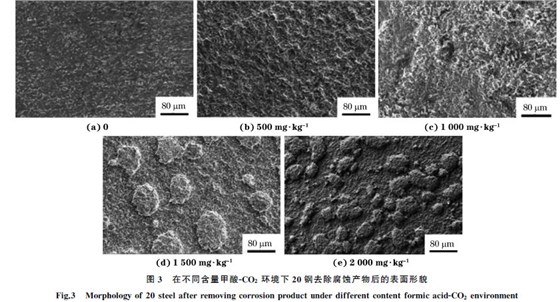 圖３ 在不同含量甲酸ＧCO２ 環境下２０鋼去除腐蝕產物后的表面形貌